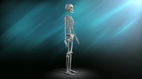 Human Skeleton Rotation Stock Footage 21465725