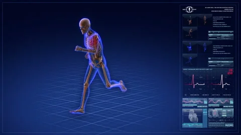 Human skeleton running in cyberspace. Stock Footage 56212421