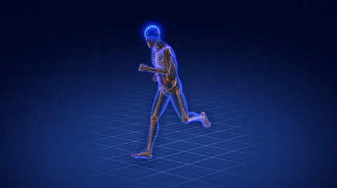 Human skeleton running in cyberspace. Stock Footage 56348718