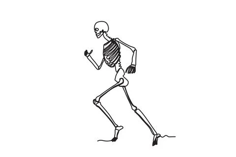 A human skeleton running Stock Illustration
