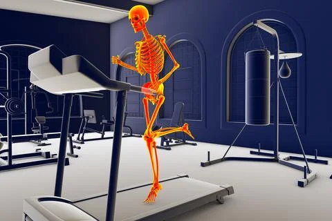 Human skeleton running on treadmill, 3D illustration. Stock Illustration
