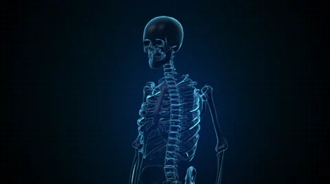 Human Skeleton in Sci-fi blue interface Loopable. Alpha matte Stock Footage 45657792