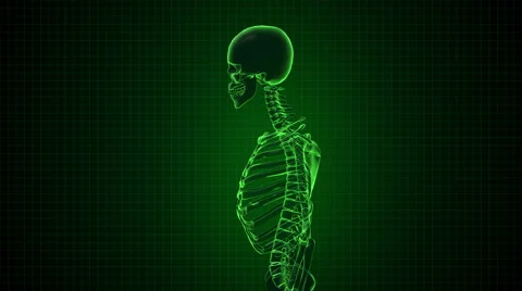 Human Skeleton in Sci-fi green interface Loopable. Alpha matte Stock Footage 45657836
