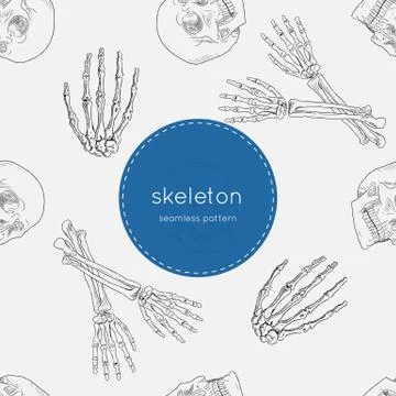 Human skeleton, seamless pattern vector. Stock Illustration