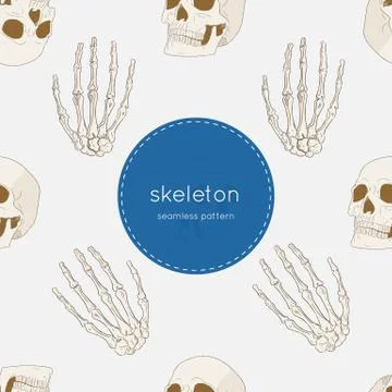 Human skeleton, seamless pattern vector. Stock Illustration
