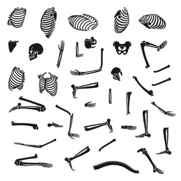Human skeleton set. Vector Illustrazione stock