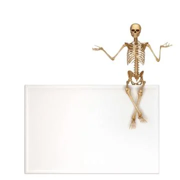 Human skeleton with sign Stock-Illustration