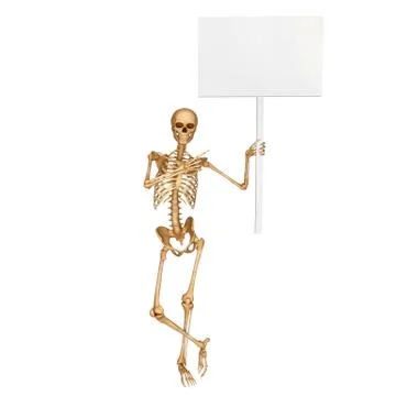 Human skeleton with sign Illustrazione stock