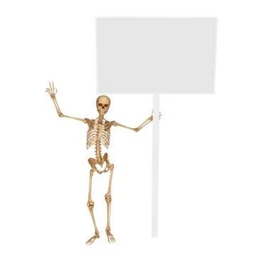 Human skeleton with sign Stock Illustration