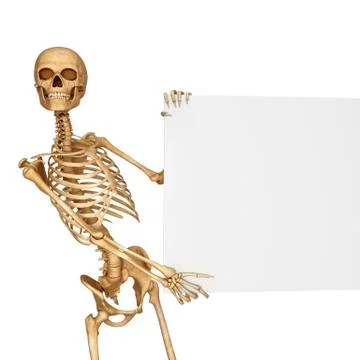 Human skeleton with sign Stock Illustration