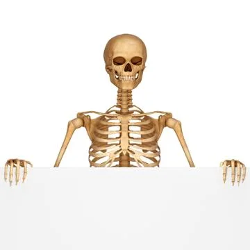Human skeleton with sign Illustrazione stock