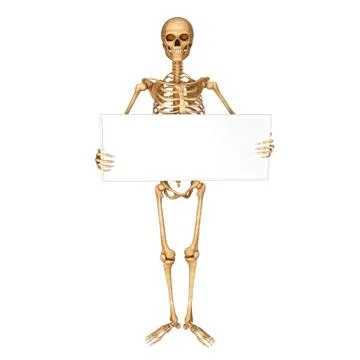 Human skeleton with sign Stock Illustration