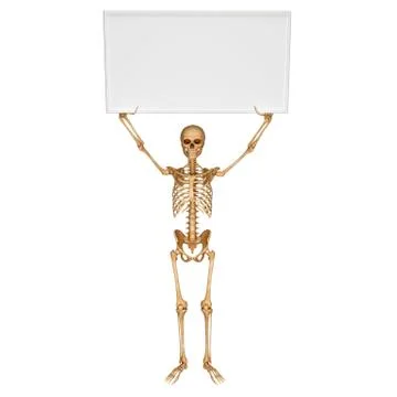 Human skeleton with sign Stock-Illustration