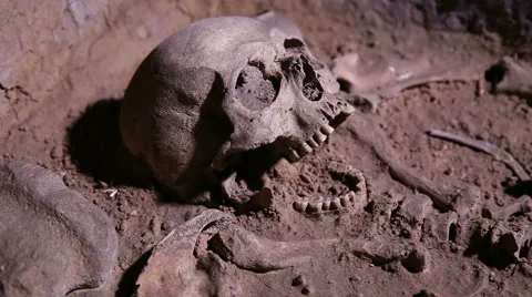 Human skeleton, skull, bones, excavated a burial Stock Footage 54688904