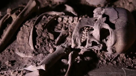 Human skeleton, skull, bones, excavated a burial Stock Footage 54689060