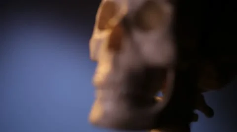 Human skeleton. Skull. Video stock 22239709