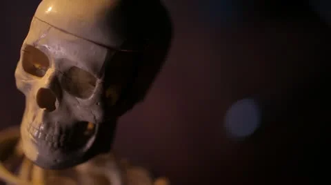 Human skeleton. Skull. Video stock 22239714
