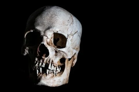 Human skeleton skull head isolated on black Stock Photos