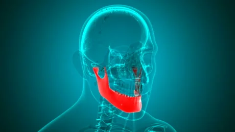 Human skeleton Skull Mandible Bone Anatomy Loopable 3D Illustration Stock Footage 135838701