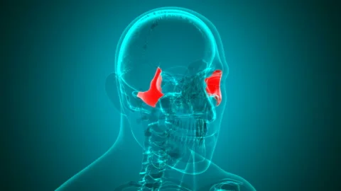 Human skeleton Skull Zygomatic Bone Anatomy Loopable 3D Illustration Stock Footage 135836969