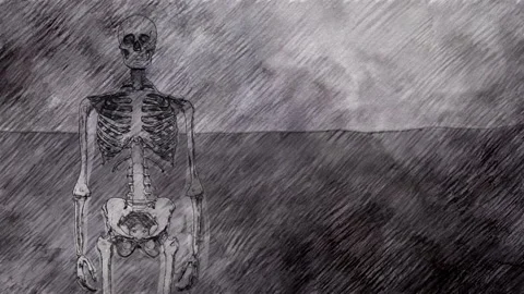 Human Skeleton Standing in a Hand Sketch Style Stock Footage 146841181