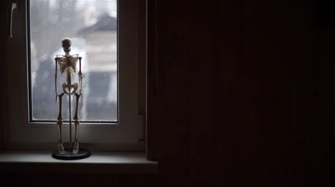 Human skeleton standing next to the window Stock Footage 62326640