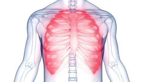 Human Skeleton System Bone Joints Anatomy Animation Concept Stock-Footage 210179962