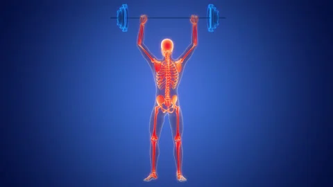 Human Skeleton System Bone Joints Anatomy Animation Concept 库存影片 266632314