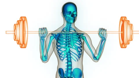 Human Skeleton System Bone Joints Anatomy Animation Concept Stock Footage 281575716