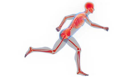 Human Skeleton System Bone Joints Anatomy Animation Concept 스톡 동영상 286013759