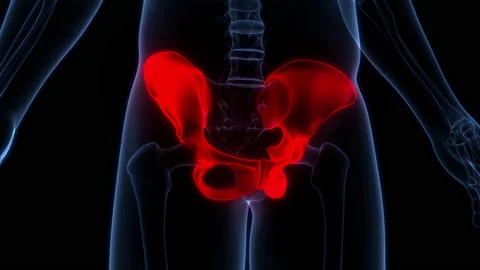 Human Skeleton System Hip Bone Joints Anatomy Animation Concept Stock Footage 169637278