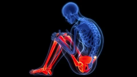 Human Skeleton System Lower Limb Bone Joints Anatomy Animation Concept Video stock 284195725