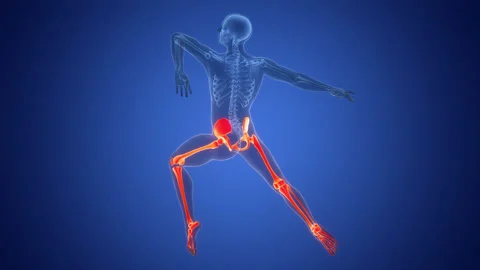 Human Skeleton System Lower Limb Bone Joints Anatomy Animation Concept Stock-Footage 303627887