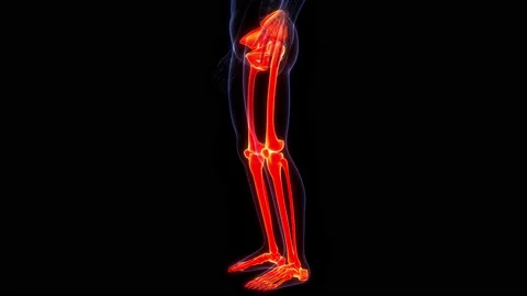 Human Skeleton System Lower Limbs Bone Joints Anatomy Animation Concept 库存影片 200867568