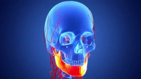 Human Skeleton System Skull Bone Parts Mandible Anatomy Animation Concept 库存影片 200865125