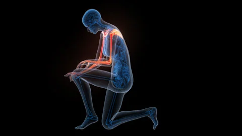 Human Skeleton System Upper Limb Bone Joints Anatomy Animation Concept Stock-Footage 340010828
