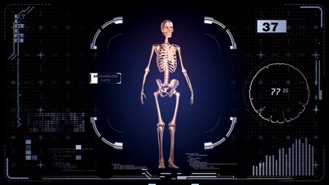 Human skeleton turntable loop on Holographic virtual hud Video stock 128735186