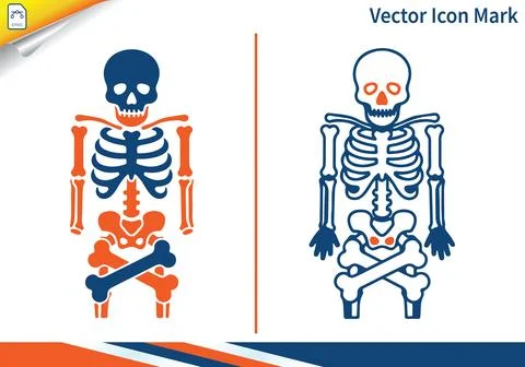 Human skeleton vector icon illustrating anatomy and medical study. Ilustración de archivo