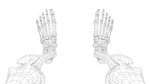 Human skeleton. Vector Stock Illustration