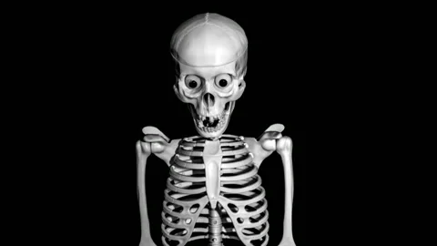 The human skeleton is white on a black background. Stock Footage 319519306