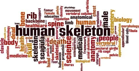 Human skeleton word cloud Stock Illustration