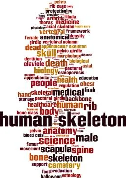 Human skeleton word cloud Stock Illustration