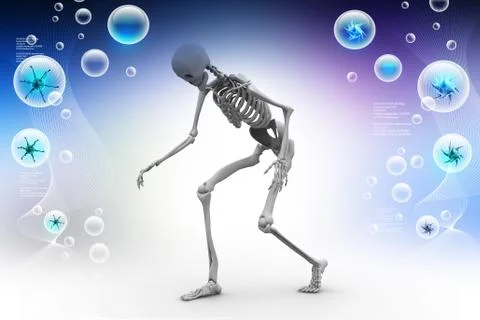 Human Skelton Stock Illustration