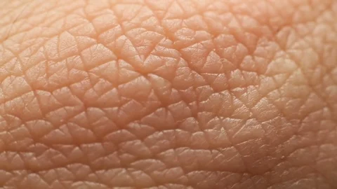 Human Skin Closeup Video stock 73114110