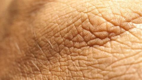 Human skin Stock Footage 93324788
