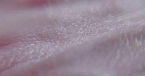 Human skin Stock Footage 323777170