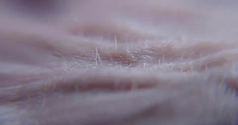 Human skin Stock Footage 323777171