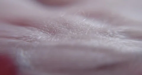 Human skin Stock Footage 323777172