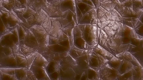 Human skin in infinite horizontal motion Stock Footage 167606285