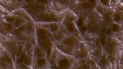 Human skin in infinite vertical motion Stock Footage 167606433